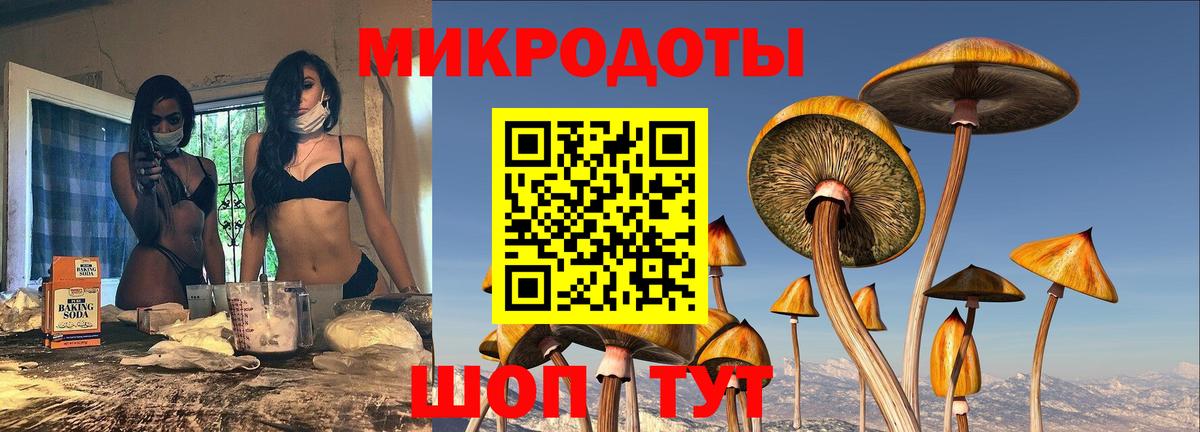 Псилоцибиновые грибы Cubensis  Вход с VPN  Югорск  наркошоп  Галлюциногенные грибы Psilocybe 